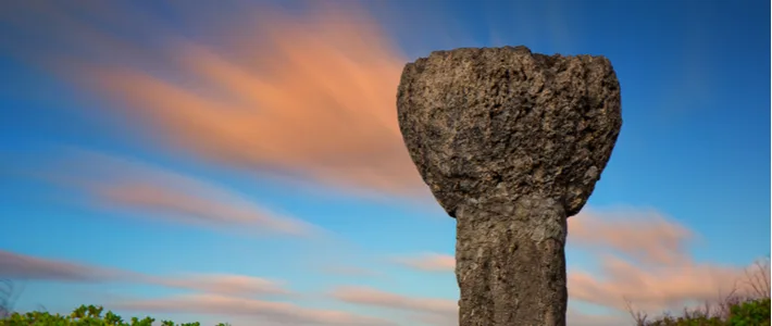 남부 투어