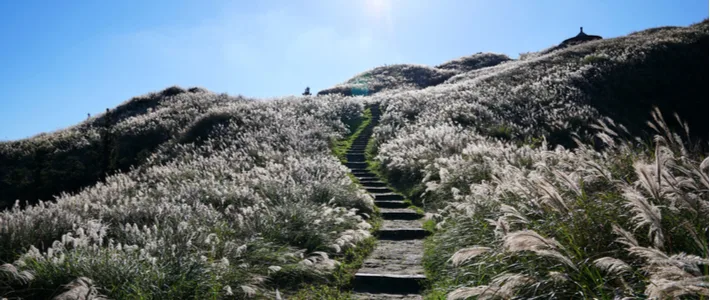 타이베이 - 양명산