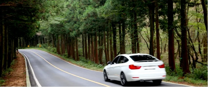 렌트카